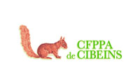 logo-cibeins